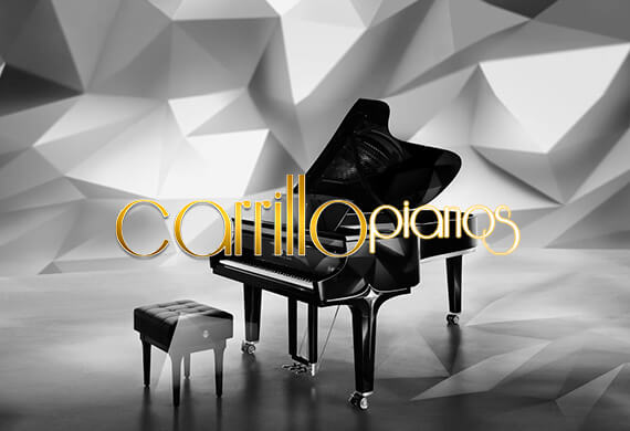 Venta de Todo Tipo de Pianos en Guadalajara